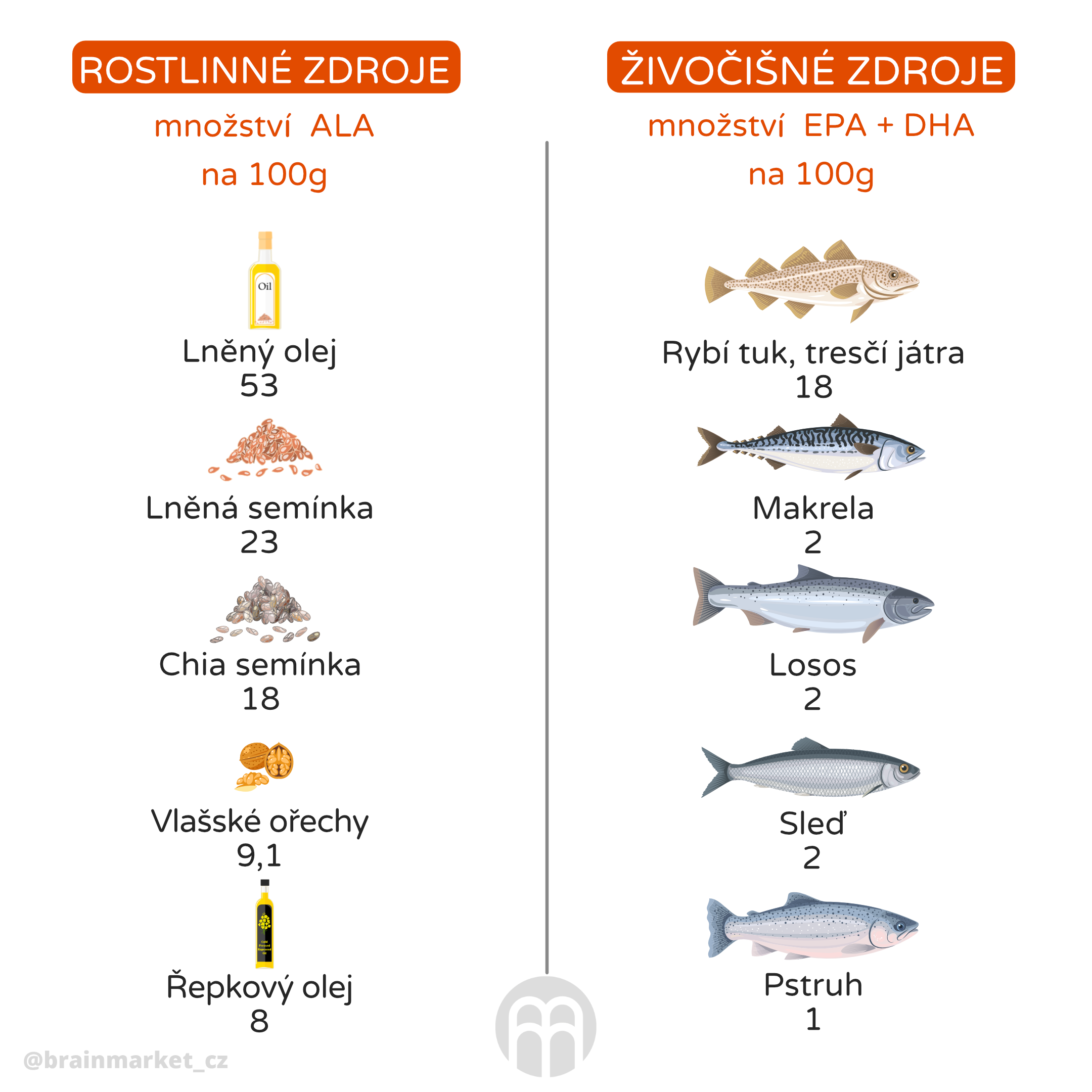 zdroje mastne kyseliny_infografika_cz